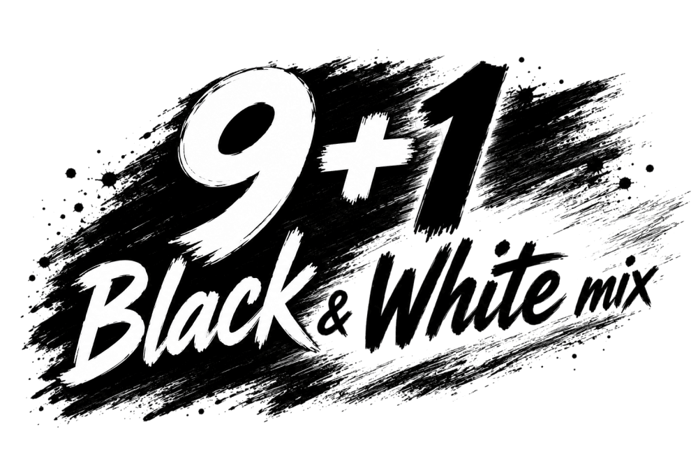 9+1 Box AURAPOL  PLA Filament Black/White mix 1 kg 1,75 mm