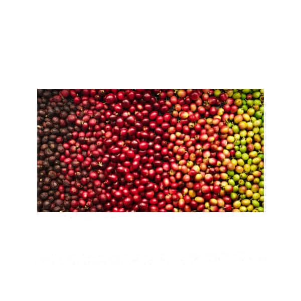 Crema zrnková káva 250g - náhled 2
