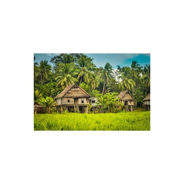 Papua zrnková káva 500 g - náhled 2