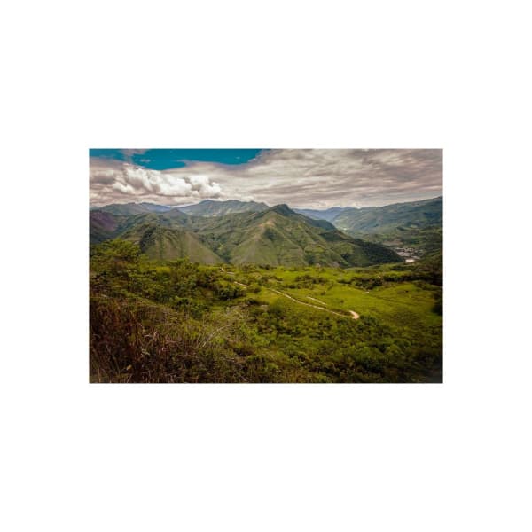PERU CAJAMARCA -  zrnková káva1kg - náhled 4