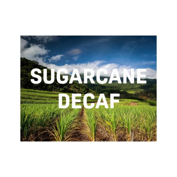 COLOMBIA SUGARCANE DECAF - zrnková káva 250 g - náhled 2
